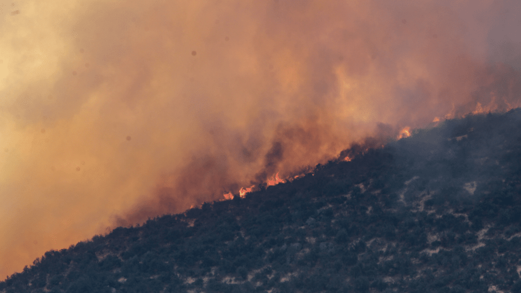 Cinco Consejos Pr Cticos Para Evitar La Propagaci N De Incendios Forestales