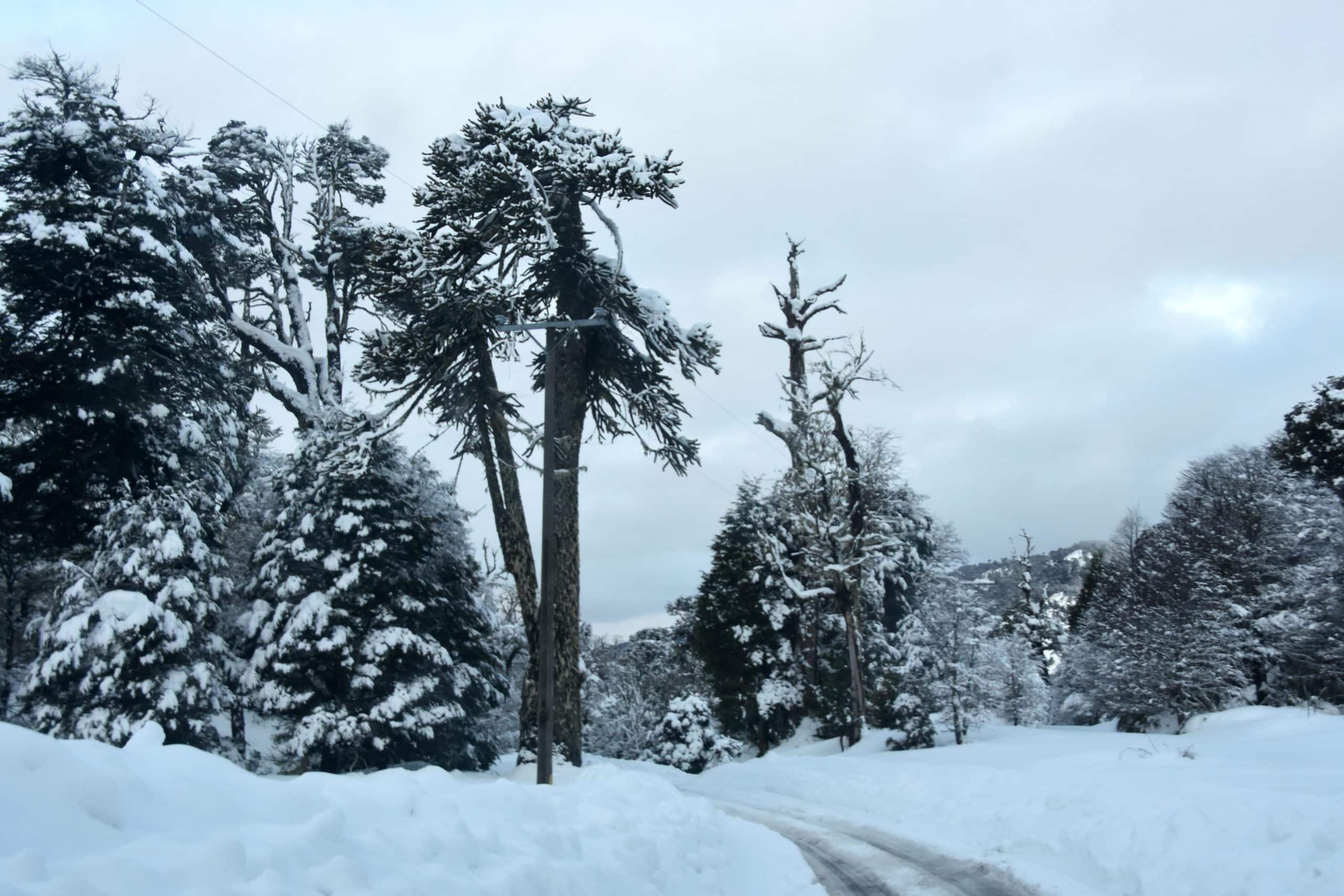 Prepárate para la Tormenta Pronóstico de Lluvia y Nieve en la Región