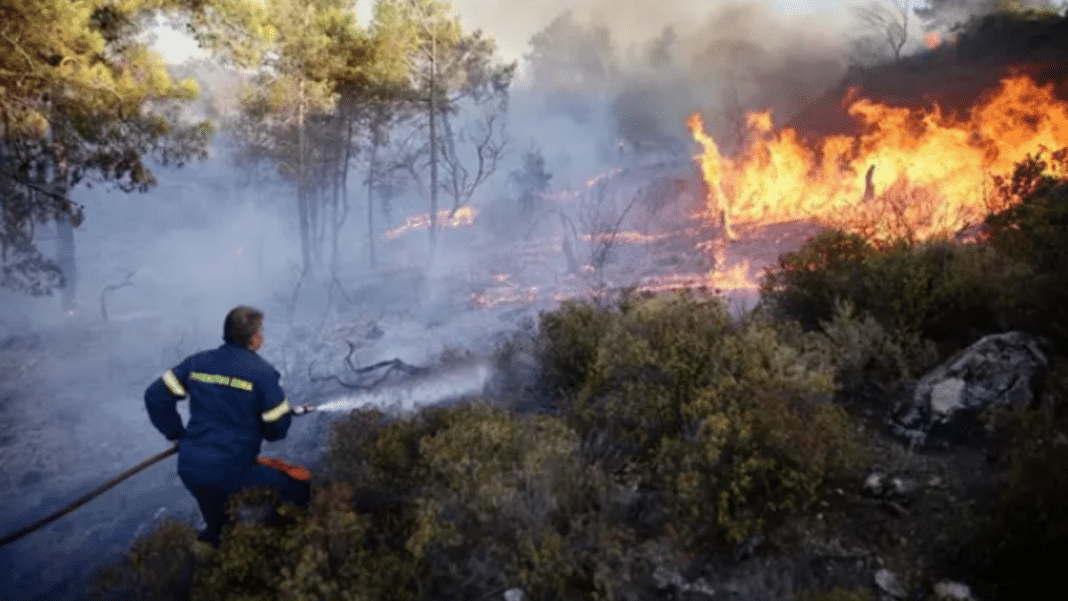 Grecia: El primer ministro advierte sobre un verano difícil debido a los incendios forestales