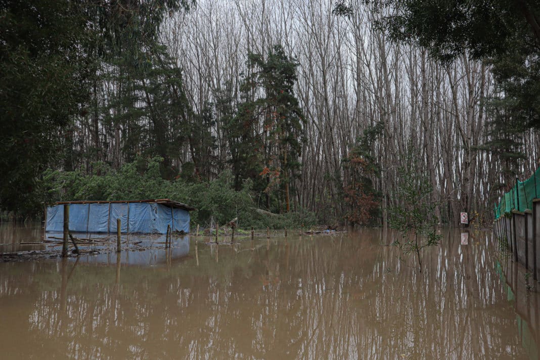 ¡Alerta! Ordenan evacuación en Parral y Linares por desbordes de ríos