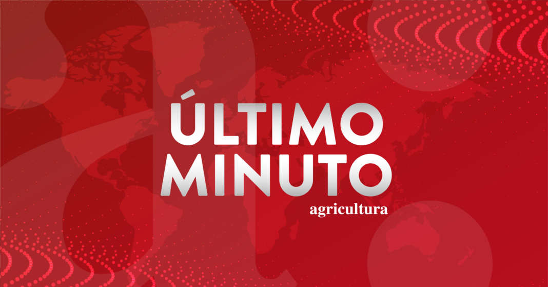 ¡Alerta Roja en Ñuble! Dos comunas en peligro por crecida del río Perquilauquén