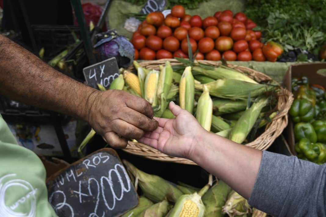 ¡Alerta! Sistema frontal provoca alza del 10% en el precio de las verduras