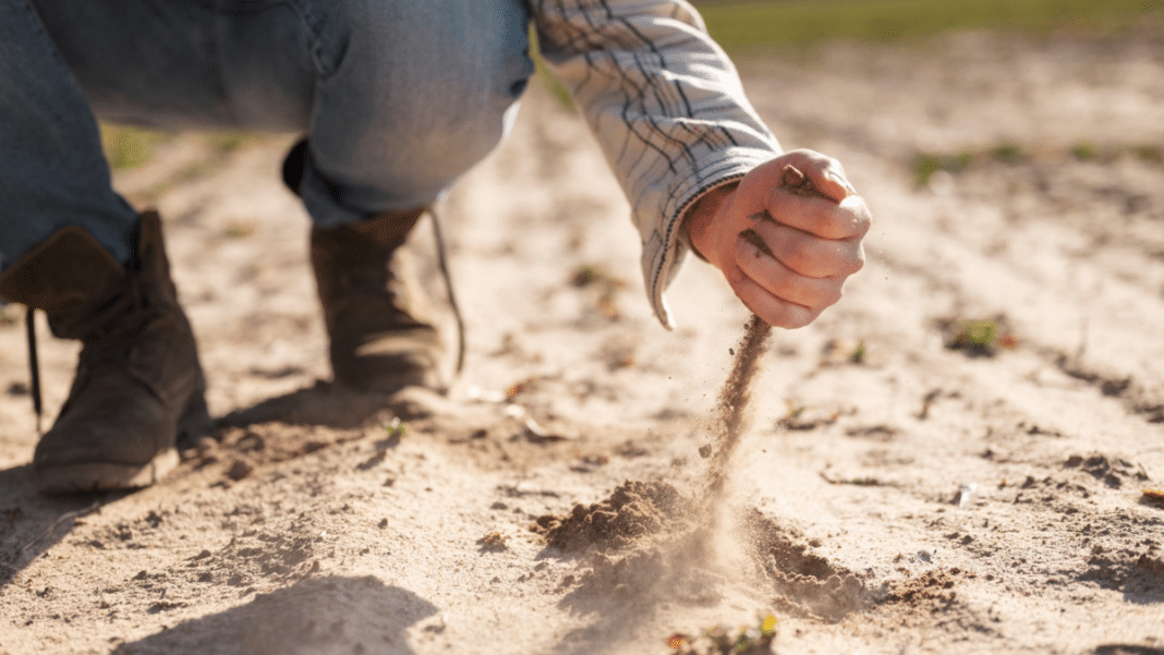 ¡Descubre cómo los agricultores podrán predecir la sequía con meses de anticipación!