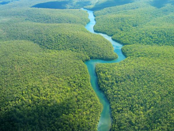 ¡Descubre por qué los ecosistemas no tienen fronteras y cómo esto afecta al mundo!