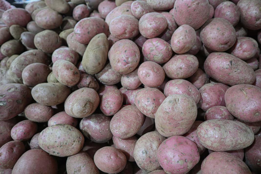 ¡Escándalo! Gobierno investigará colusión en el aumento del precio de las papas