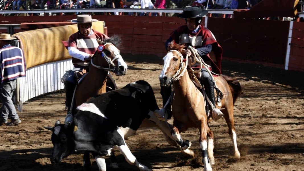 ¡Increíble! Se aprueba enmienda que consagra los emblemas y el deporte nacional