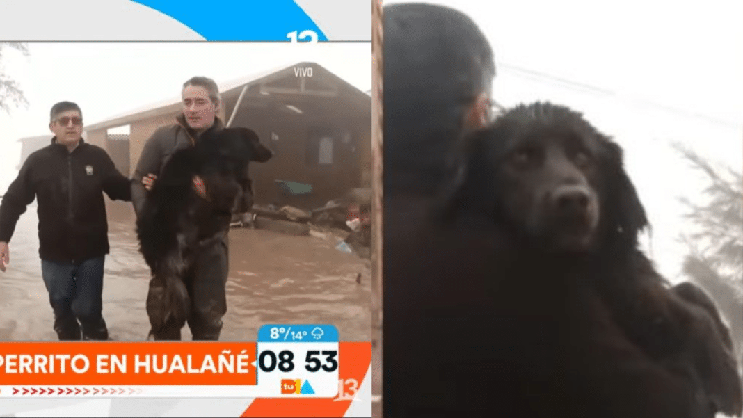 ¡Increíble rescate! José Luis Repenning se convierte en héroe en medio de las inundaciones