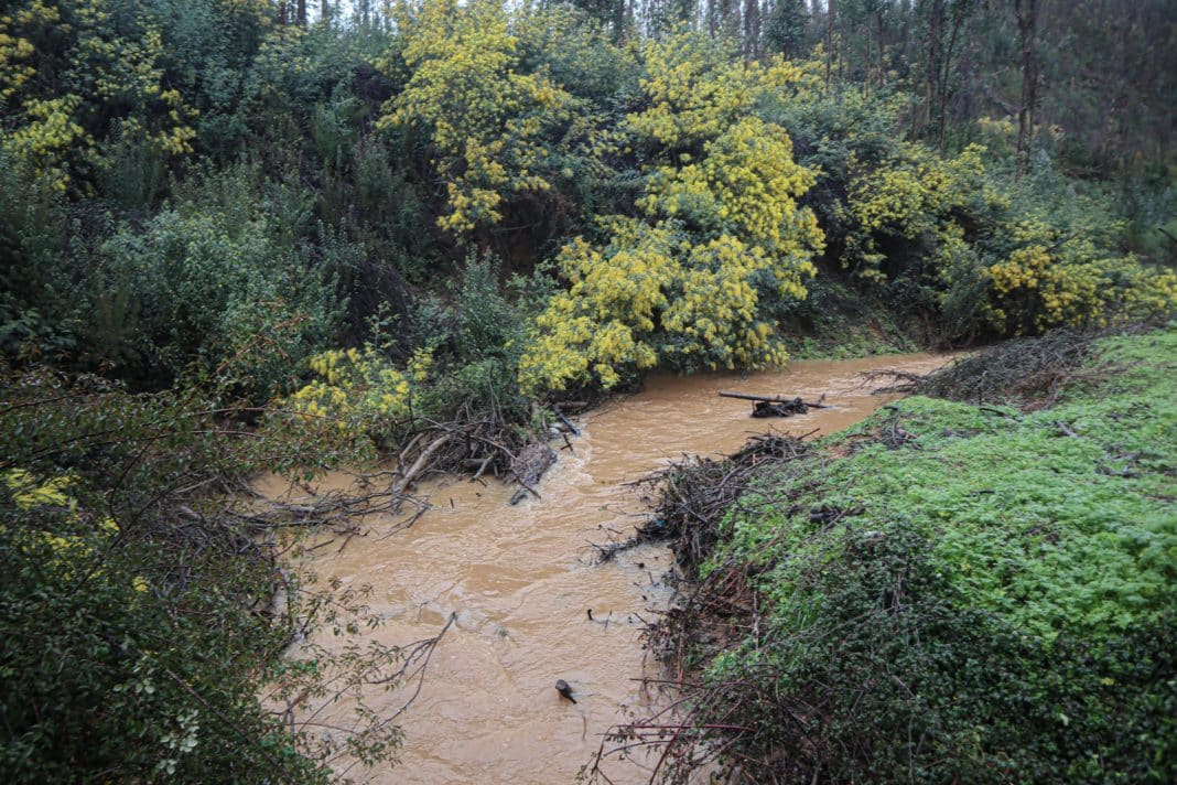 ¡URGENTE! Ordenan evacuar la ribera del río Perquilauquén en Ñiquén por desborde