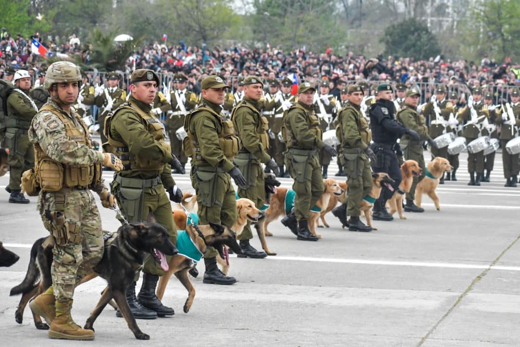 Emotivo desfile de los perritos policiales en la Parada Militar: 7 jubilaron y fueron despedidos con honores