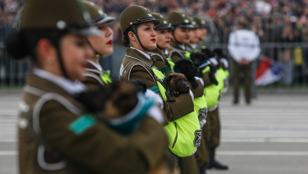 ¡Adopta a los cachorros de la Parada Militar y cambia sus vidas!