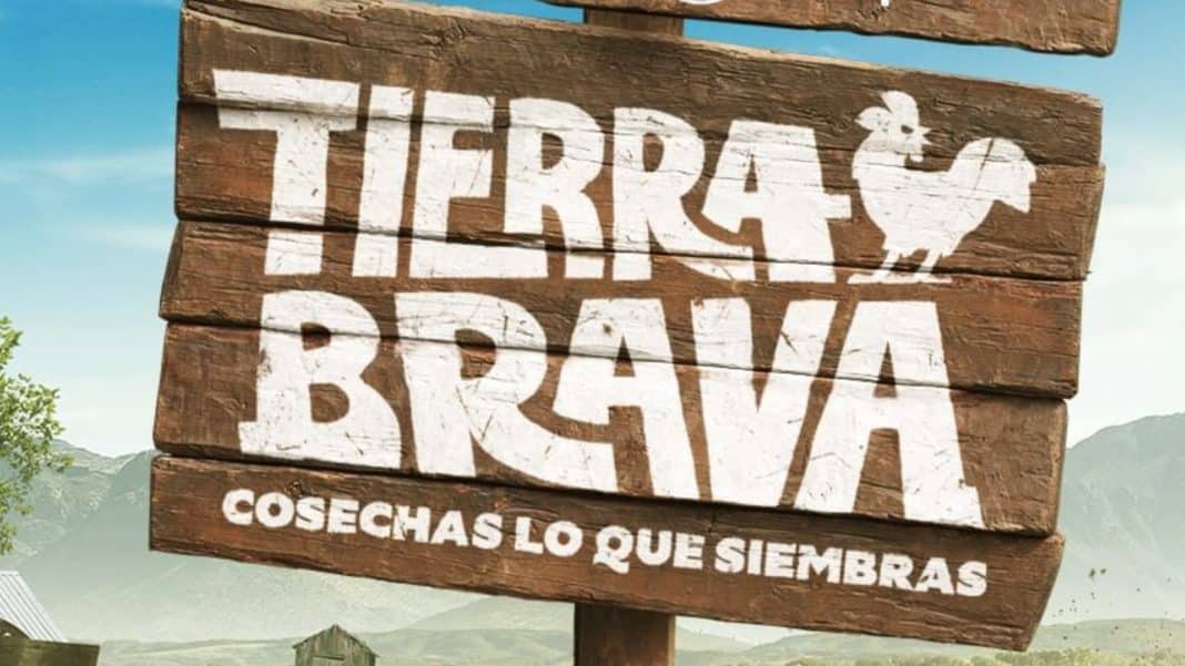 ¡Canal 13 responde a demanda por plagio de Tierra Brava y defiende su originalidad!