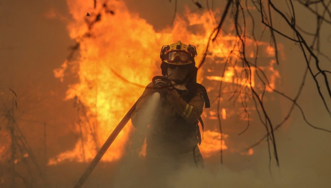 ¡Escándalo! Eléctricas responsables de incendios forestales en el sur del país