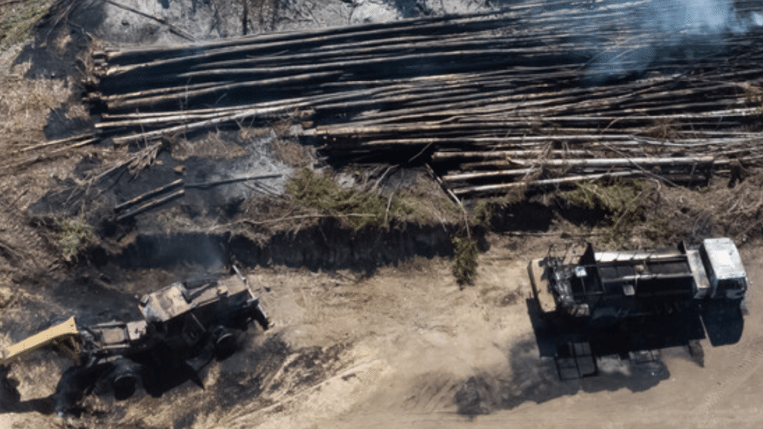 ¡Impactante! Carabineros involucrados en la Resistencia Mapuche Lafkenche quedaron con arresto domiciliario