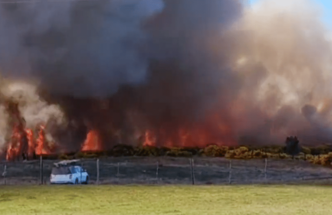 ¡Alerta Roja en Castro! Incendio forestal consume 9 hectáreas