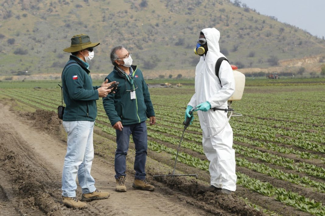 ¡Descubre la apuesta del SAG por los plaguicidas naturales!