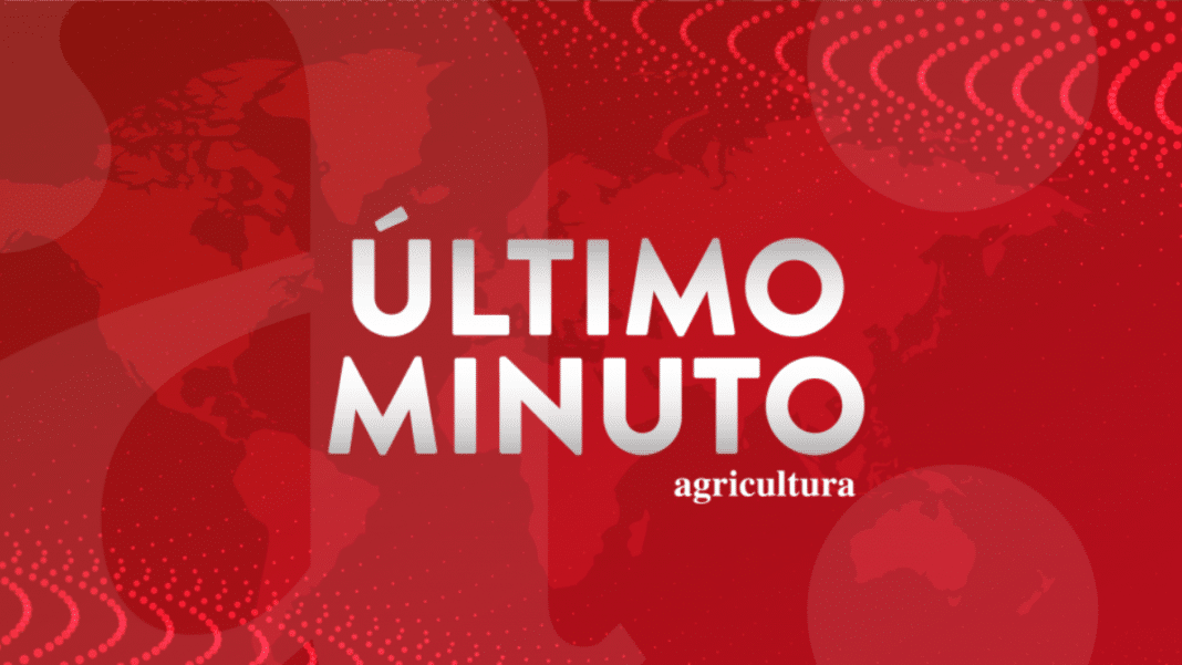 ¡Histórico! Consejo Constitucional aprueba propuesta de nueva Constitución