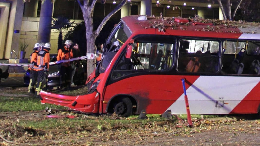 ¡Impactante video! Chofer de bus RED derriba postes, semáforo y un árbol bajo los efectos de las drogas