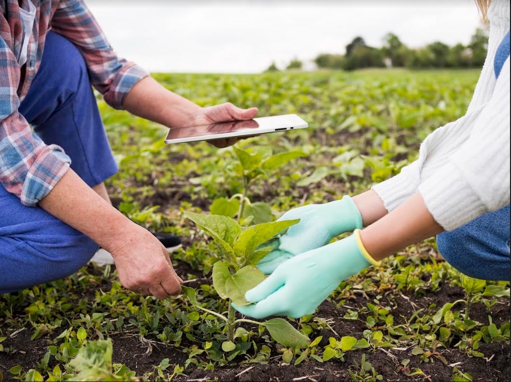 Corfo anuncia programas millonarios para el desarrollo sostenible de la agricultura