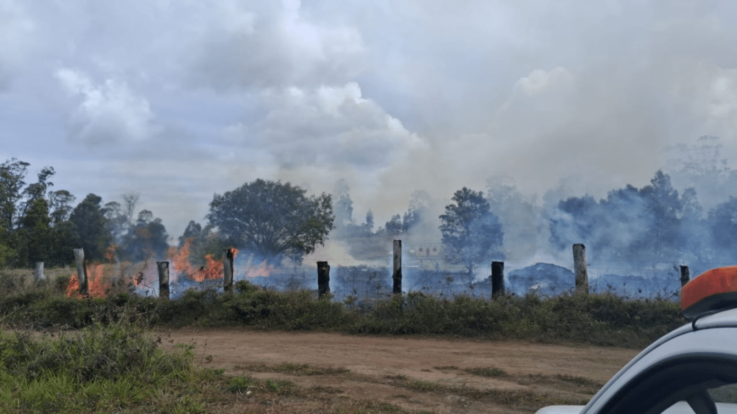 ¡Alerta roja en Isla de Pascua! Incendio forestal amenaza viviendas
