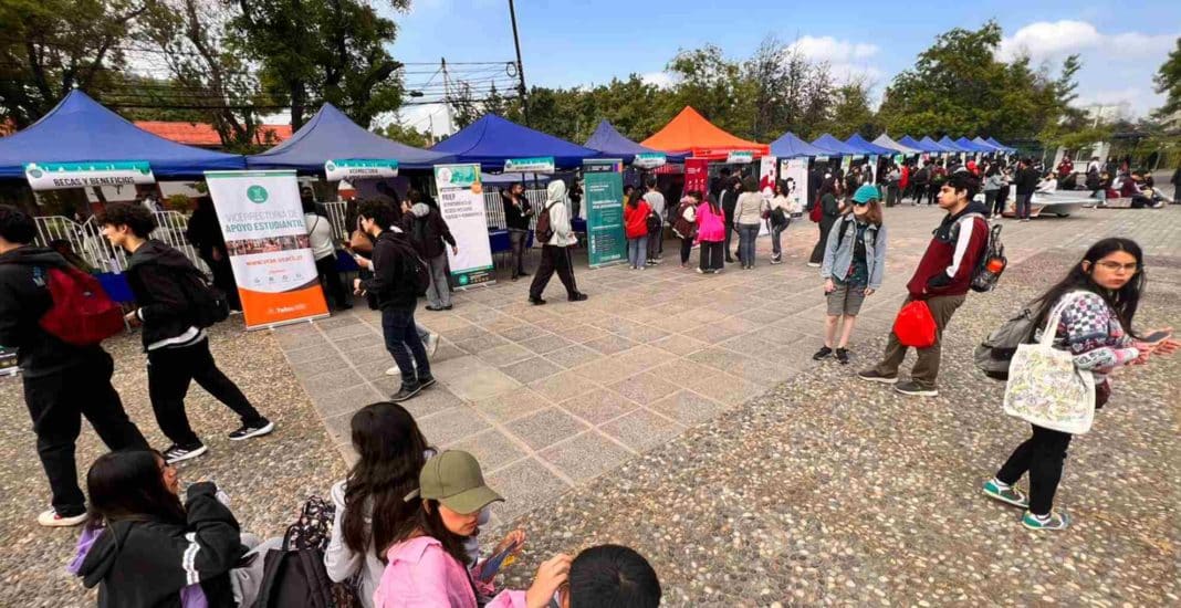 ¡Descubre cómo acceder a un cupo en una carrera Técnico Universitario!