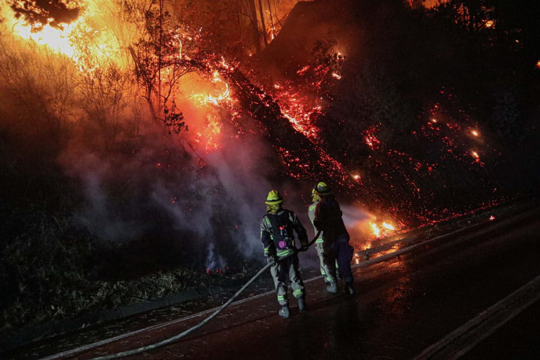 ¡Descubre el ambicioso Plan Nacional de Cortafuegos para combatir los incendios forestales!