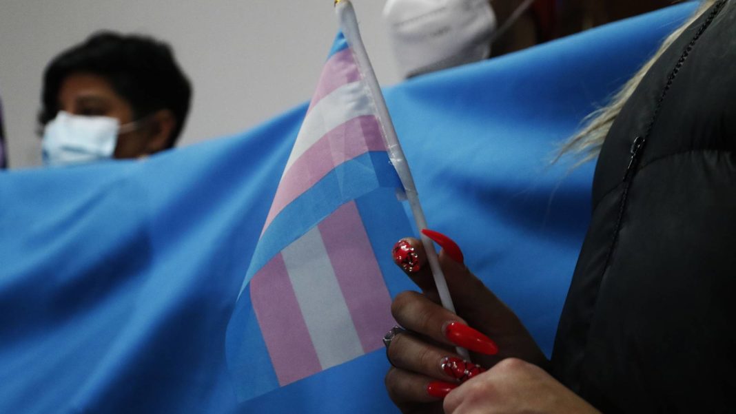 ¡Impactante video! Detienen al presunto agresor de una mujer trans en Lo Barnechea