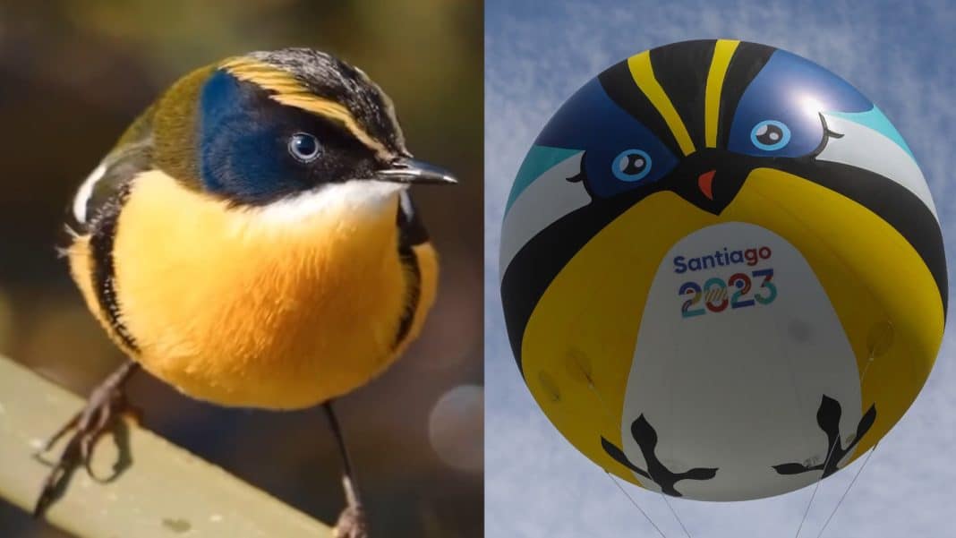 ¡Increíble! Atleta brasileño gasta una fortuna en recuerdos de la mascota de Santiago 2023