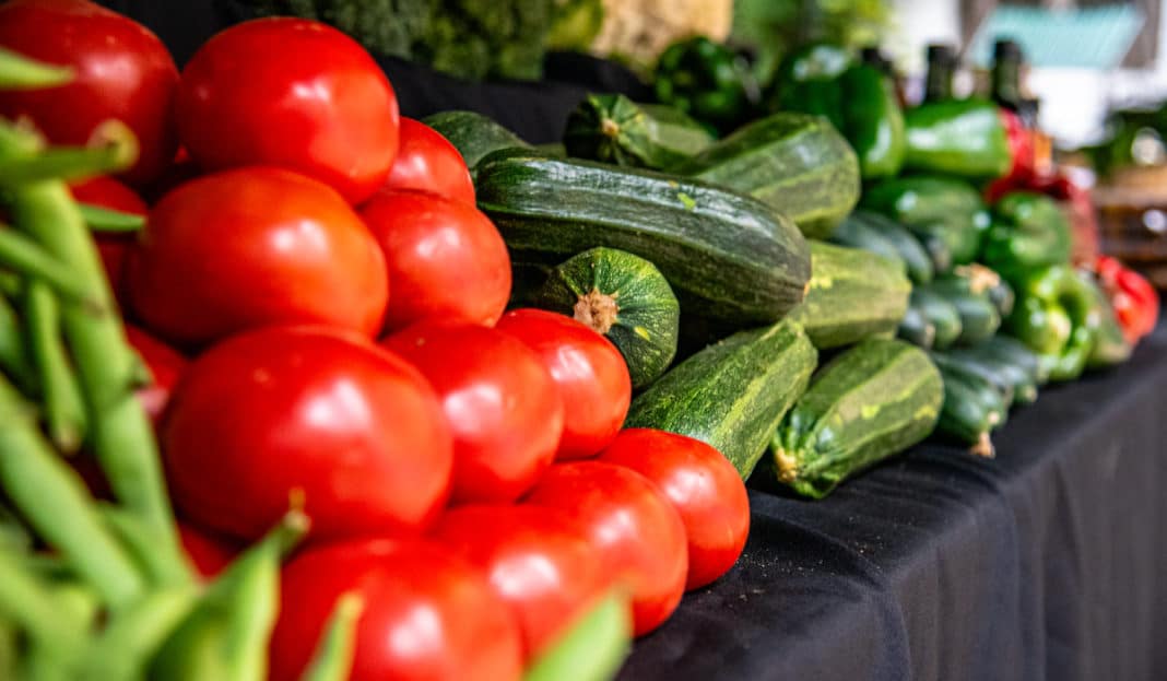 ¡Increíbles cambios en la alimentación escolar para el 2024!