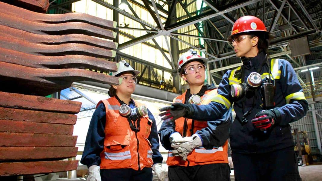 ¡Oportunidad única! Universidades ofrecerán cupos adicionales para mujeres en carreras STEM