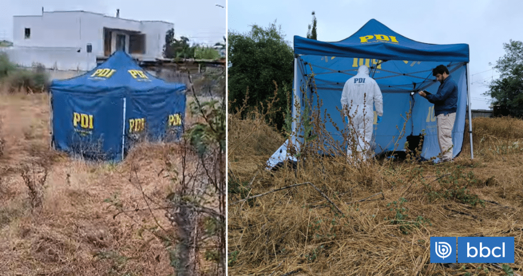 Impactante: Detienen a dos sujetos por brutal asesinato y arrojo a un pozo en Quillota