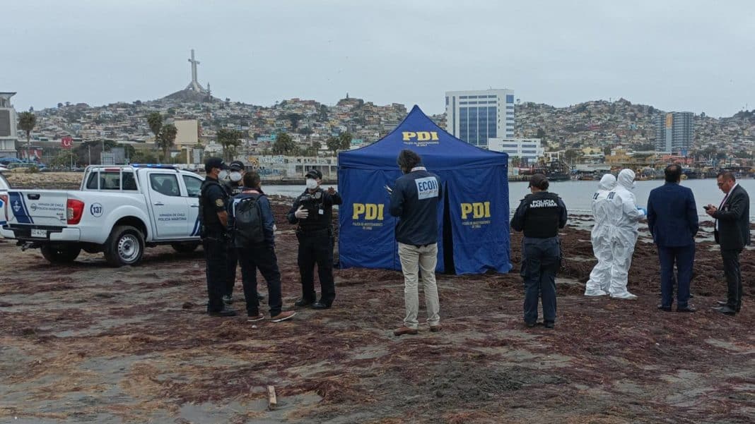 Impactantes detalles del brutal crimen del hombre descuartizado en Coquimbo