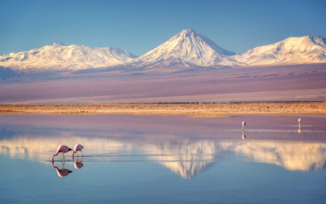 SQM y Codelco revolucionan la producción de litio en el Salar de Atacama