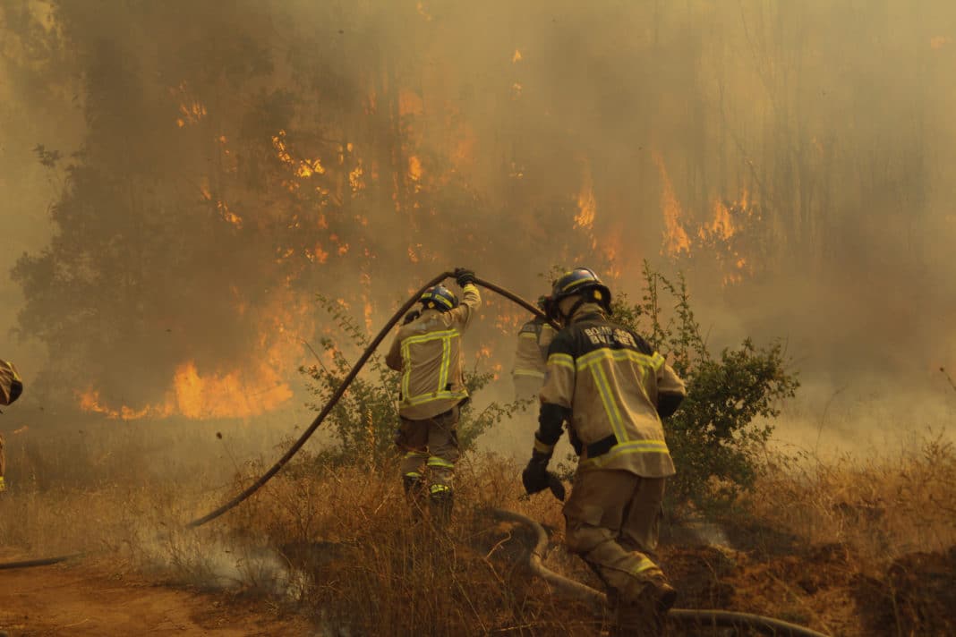 ¡Alerta Roja! Incendio forestal amenaza a la comuna de Santo Domingo