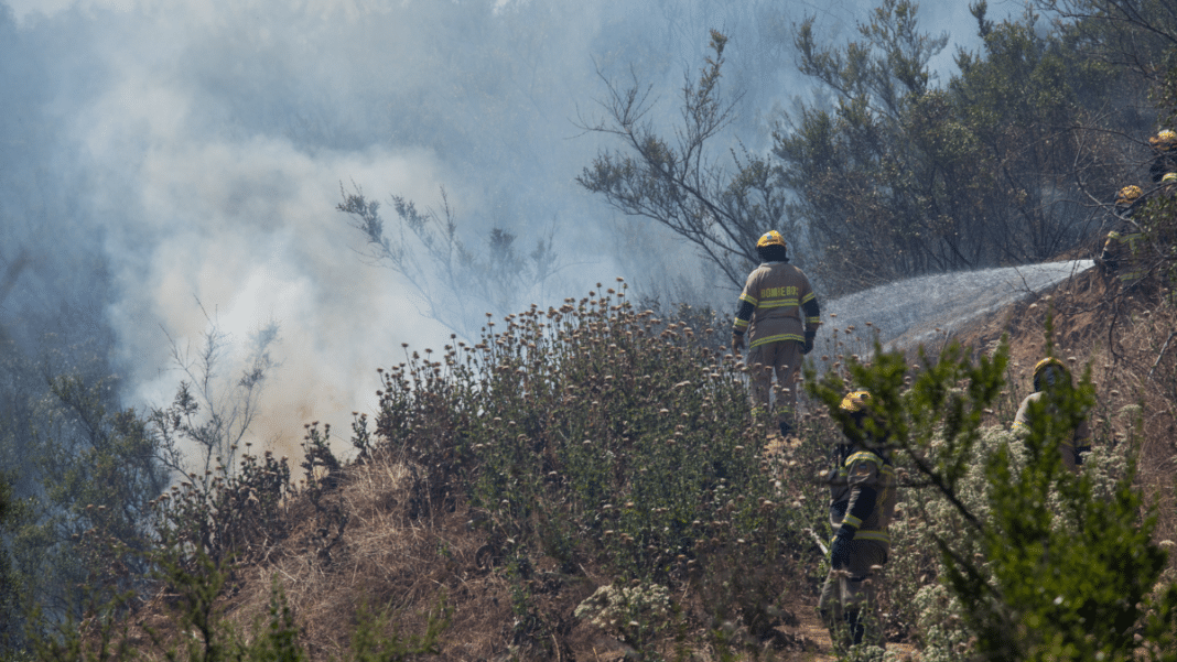 ¡Alerta Roja en Quintero! Incendio forestal amenaza viviendas