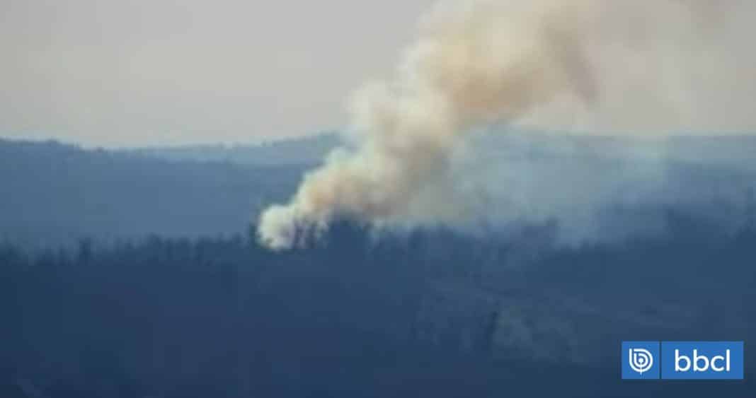 ¡Alerta Roja en Valparaíso! Incendio forestal amenaza la Reserva Lago Peñuelas