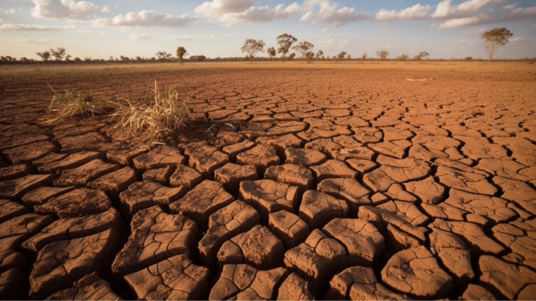 ¡Descubre cómo el riego tecnificado puede salvar el agua y los cultivos en medio de la sequía mundial!