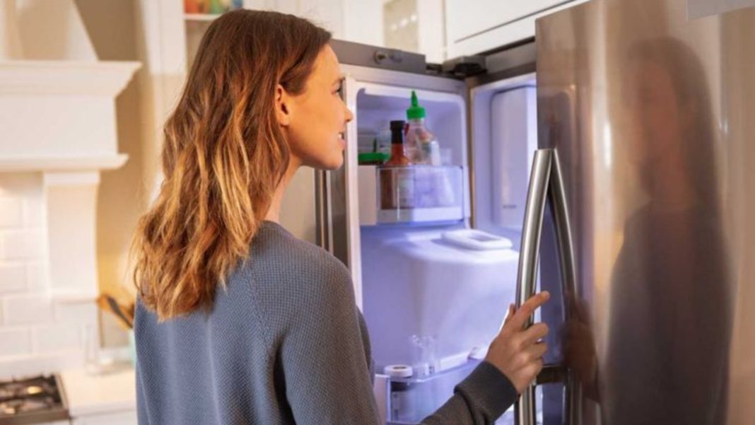 ¡Descubre la temperatura ideal para tu refrigerador en verano y protege tus alimentos!