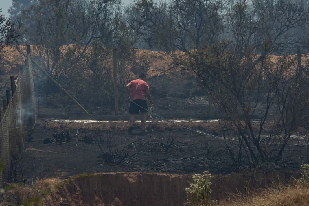 ¡Escándalo en Villa Alemana! Gobierno se querellará contra el presunto autor del incendio forestal