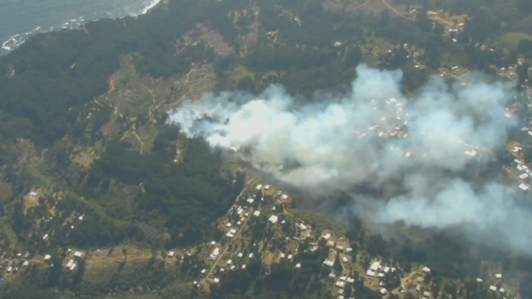 ¡Evacuación inminente! Incendio forestal en Laguna Verde obliga a desalojar sectores habitados