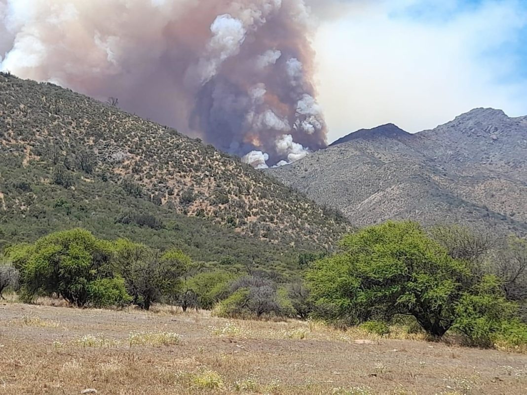 ¡Impactante incendio en Olmué amenaza al Parque Nacional y consume una vivienda!
