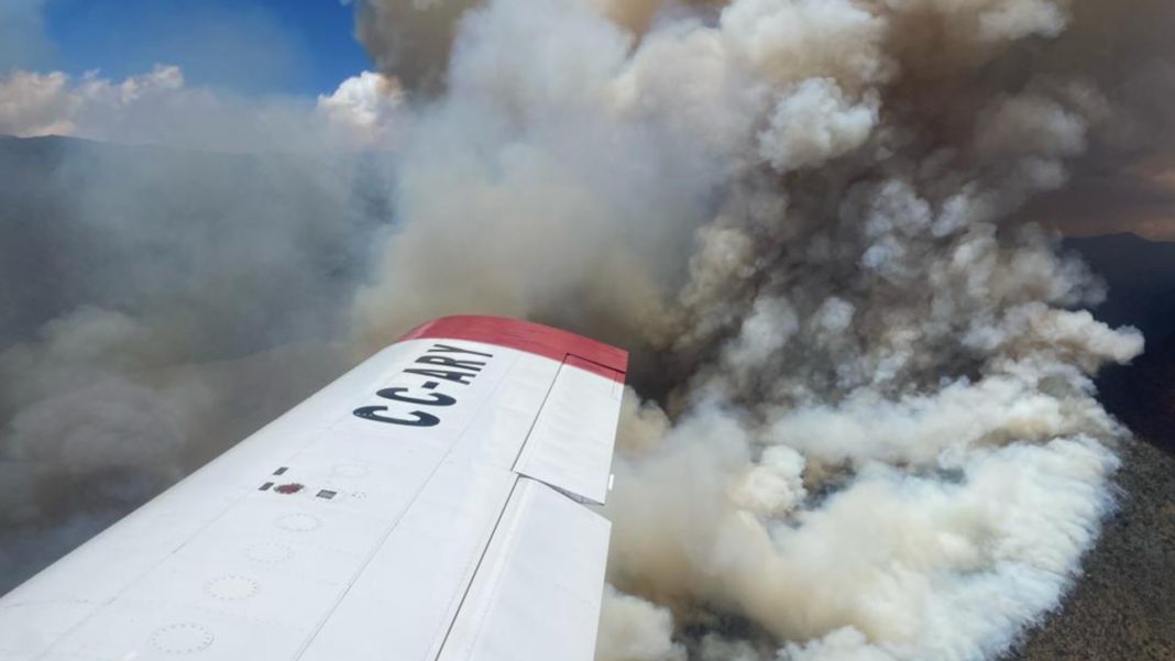 ¡Impactante incendio forestal en Quilpué! Más de 1.700 hectáreas consumidas y Alerta Amarilla