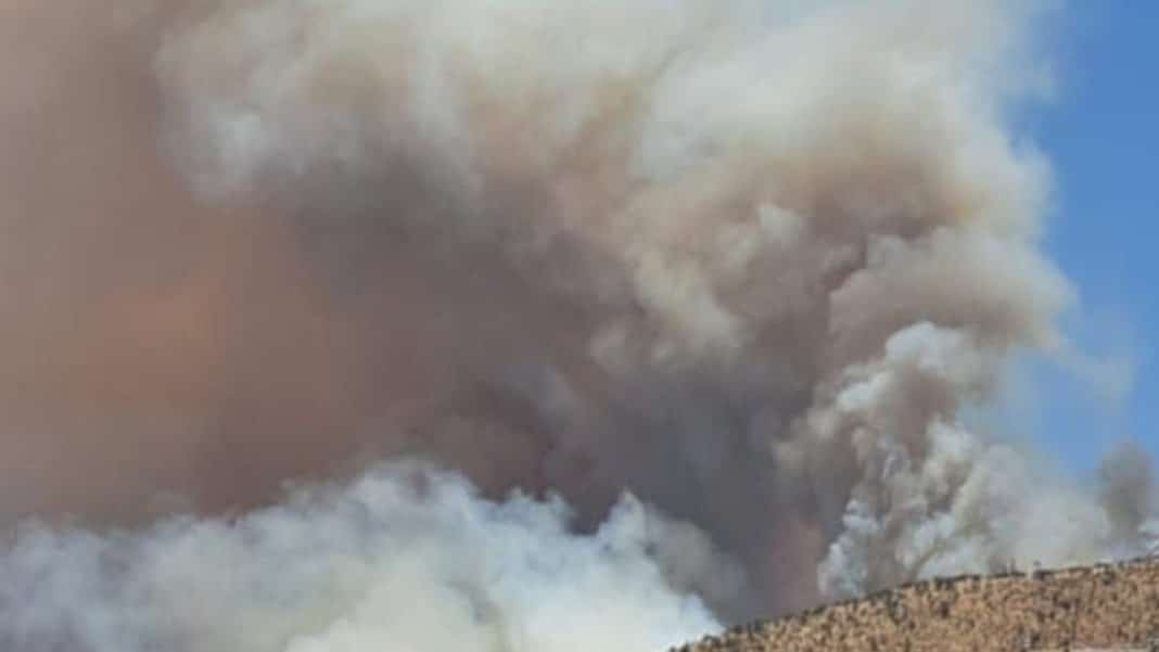 ¡Impactantes imágenes! Santiago cubierta por una nube de humo proveniente de un incendio forestal