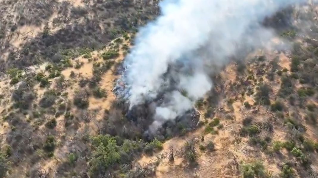 ¡Incendio en San Carlos de Apoquindo! Bomberos y Carabineros en acción