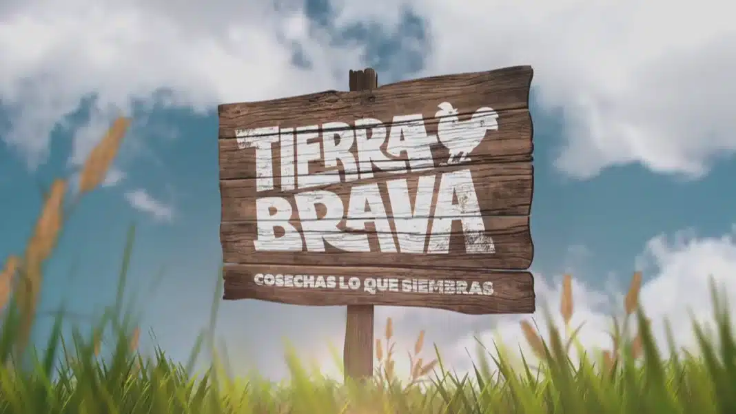¡Increíble! Tierra Brava arrasa en audiencia y rompe récords en Canal 13