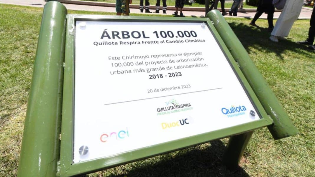 ¡Increíble logro! Proyecto de arborización urbana en Quillota alcanza su meta de 100 mil árboles plantados