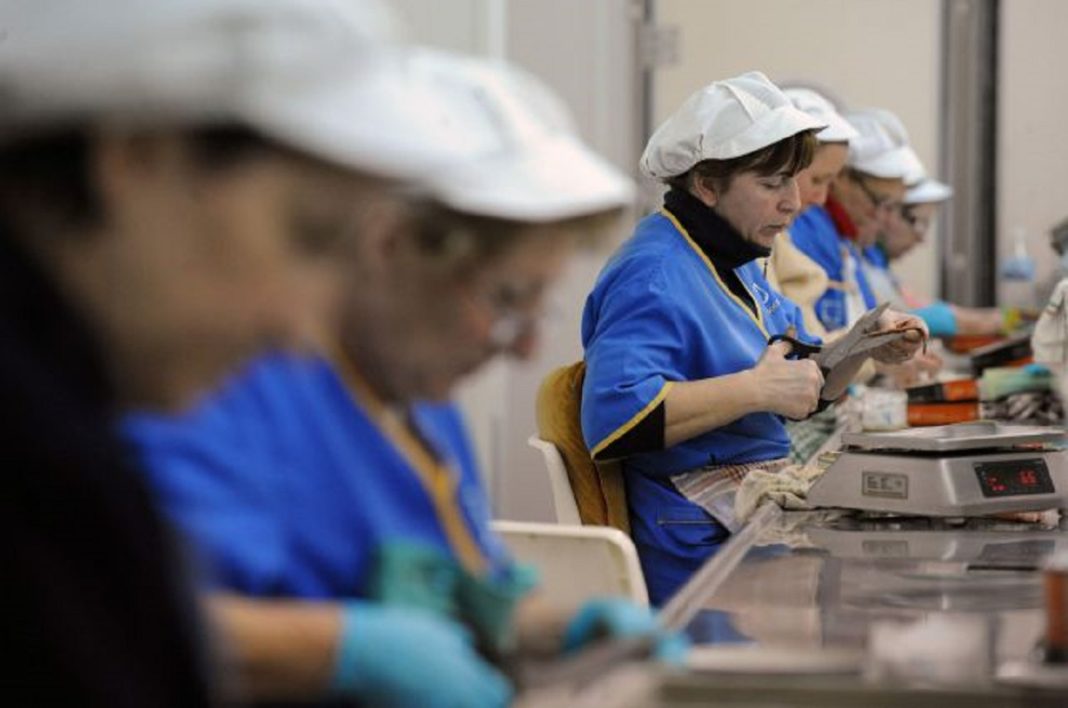 ¡No te pierdas el Bono Trabajo Mujer en Diciembre! Descubre cuándo y quiénes pueden cobrar este beneficio