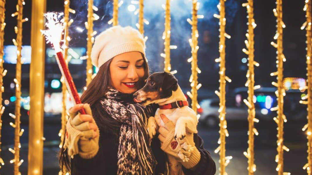 ¡Protege a tu mascota de los Fuegos Artificiales en Año Nuevo 2024!