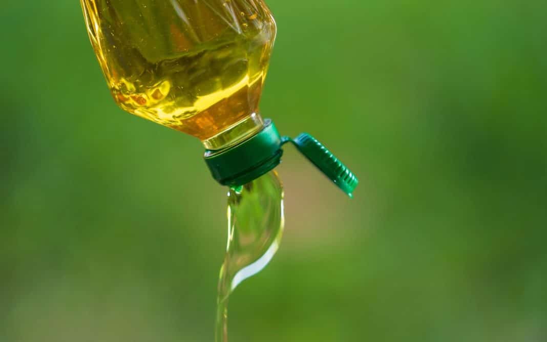 ¡Revelador estudio sobre el etiquetado de aceites vegetales que te dejará impactado!