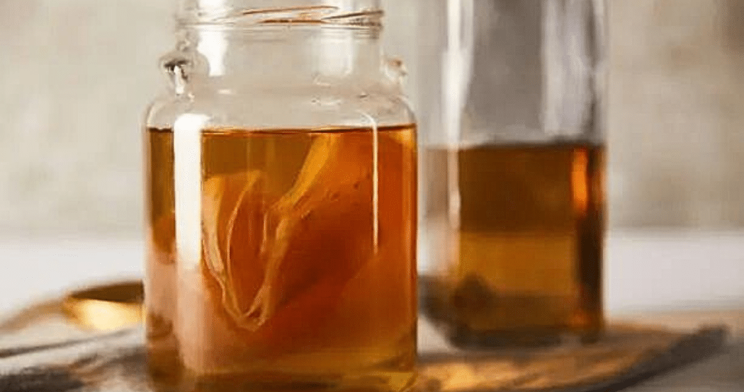 Descubre los increíbles beneficios de la kombucha, la bebida natural fermentada perfecta para el verano