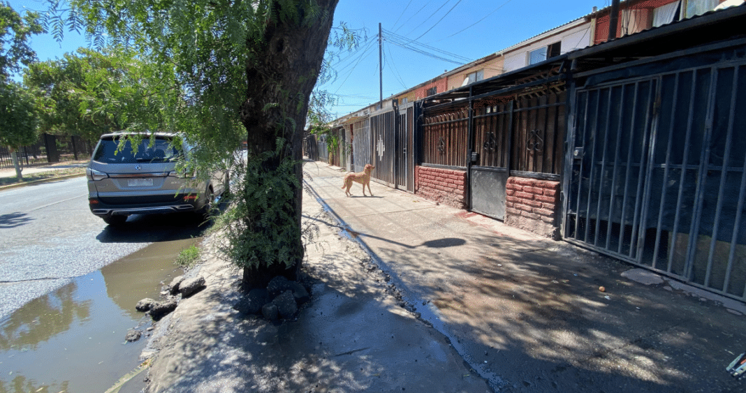 Impactante asesinato en Cerro Navia: hombre apuñalado en la RM